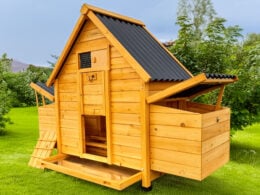 Eco 600 chicken coop