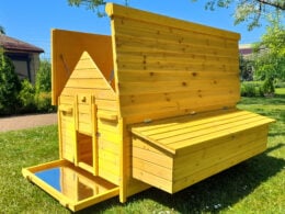 Nelly Air Chicken House