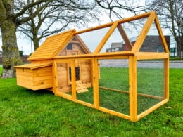 The Cocoon 1000 Chicken Coop & Run