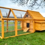The Cocoon 1000 Chicken Coop & Run