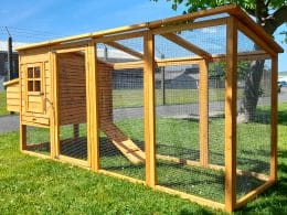 Cocoon 3000WX Chicken Coop