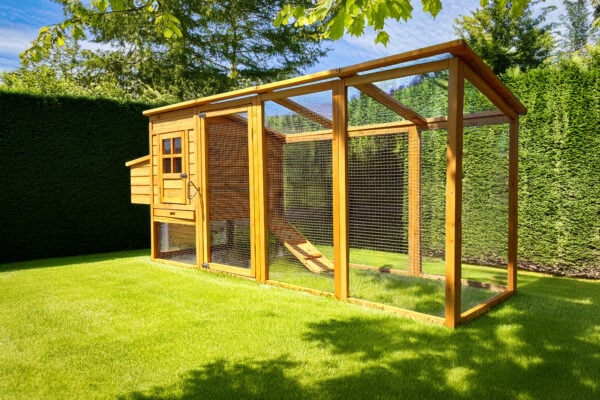 cocoon 3000wx chicken coop