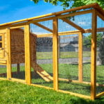 cocoon 3000wx chicken coop