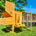 cocoon 3000wx chicken coop