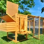 Cocoon 3000WX Chicken Coop