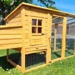 Cocoon 3000WX Chicken Coop