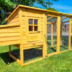 cocoon 3000wx chicken coop