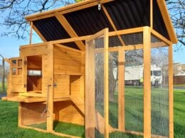 Cocoon Chicken Coop & Run - ECO 2000 With Solid Roof