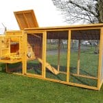 Large chicken coop with fox resistant run
