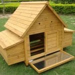 House design chicken coop with two nest boxes that have opening roofs