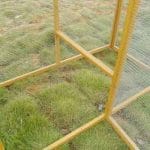 Chicken Run Extension square