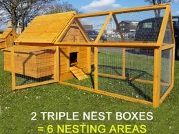 chicken coop with fox resistant run