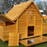 chicken coop with fox resistant run