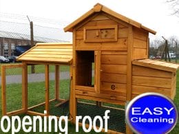 raised chicken coop with secure run