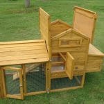 raised chicken coop with secure run
