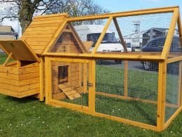 chicken coop with safe chicken run attached