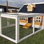 Chicken House Eco Big Barn Design