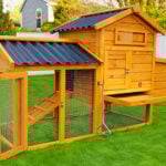 Eco-1500 chicken coop