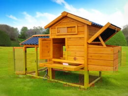 Eco-1500 chicken coop