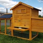 Eco Chicken Coop with hardwearing roof