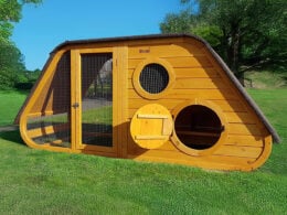 Noah’s Ark Chicken coop