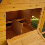 Noah’s Ark Chicken coop