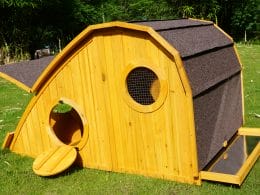 chicken coop with sloped opening roof and porthole circular door