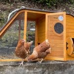 chicken coop with curved roof and circular door