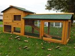 Rabbit Hutch design, wooden rabbit hutch with rabbit run attached, green roof and thick metal wire coverings
