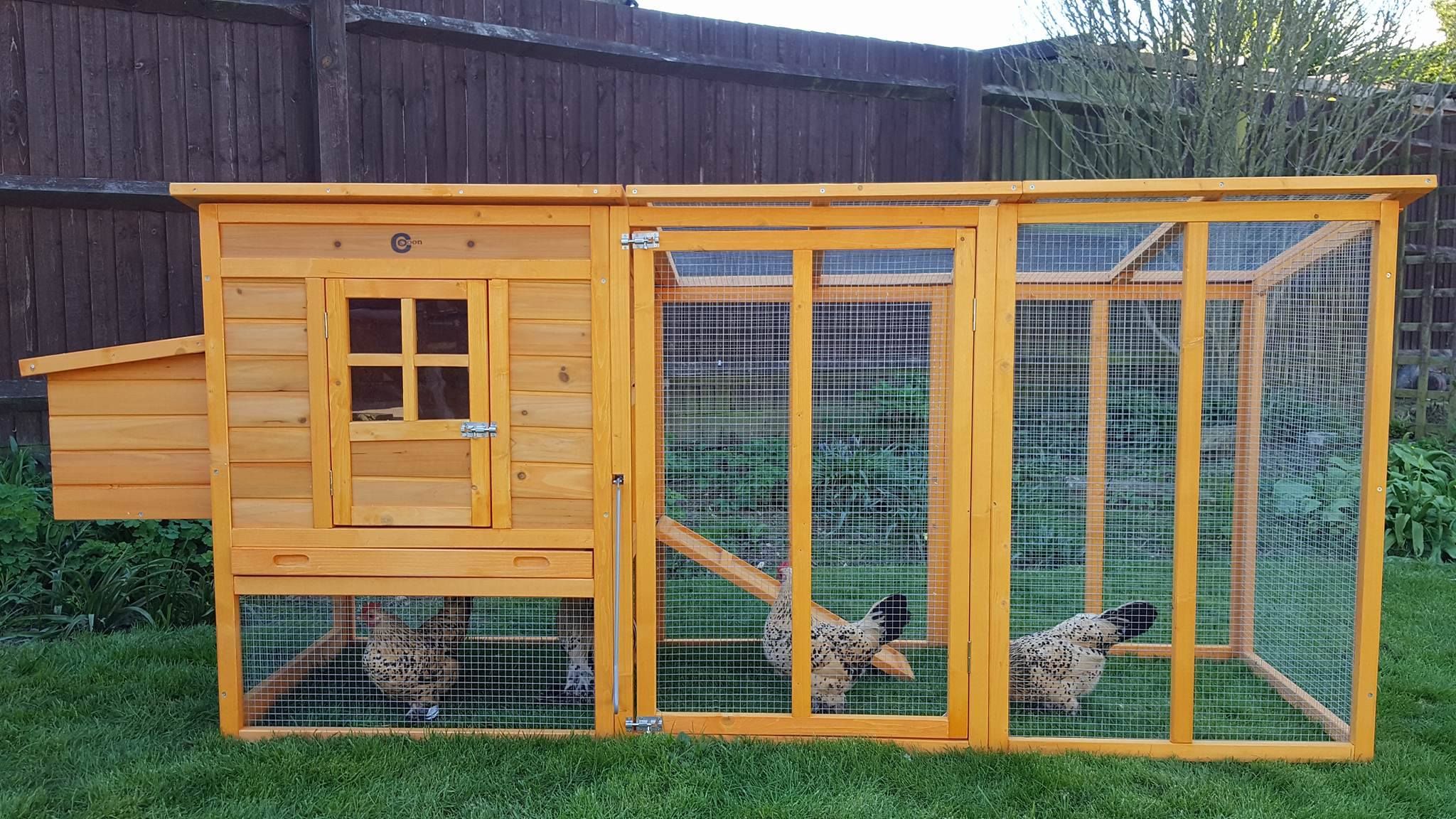 CC4000WX Chicken Coop Chicken Coops