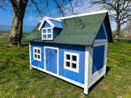 Barn Chicken House - Blue