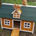 yellow barn design chicken house