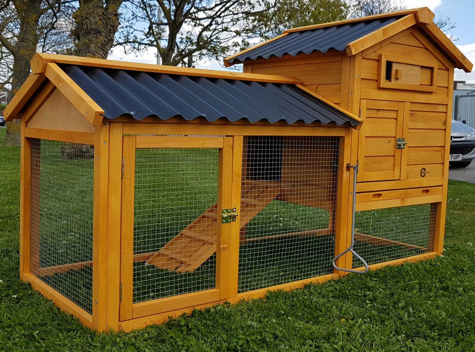 Keeping Your Chickens Healthy And Free From Disease