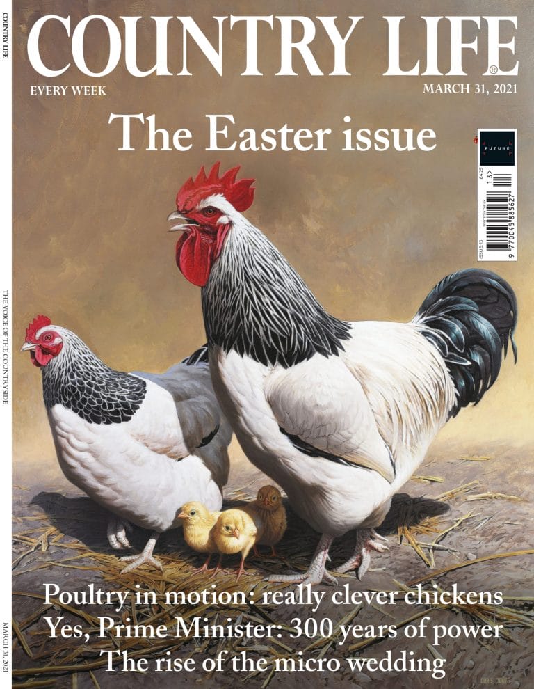 Country Life March 2021 cover