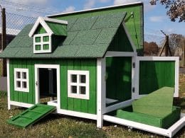 Barn Green Chicken house