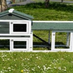 The Smokey XL Green Rabbit Hutch