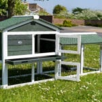 The Smokey XL Green Rabbit Hutch