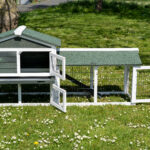 The Smokey XL Green Rabbit Hutch