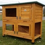 two tier hutch with ramp and opening roof