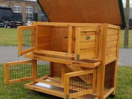 two tier hutch with ramp and opening roof