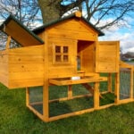Cocoon CC2190 chicken coop