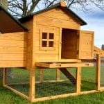 Raised chicken coop with run and nest box