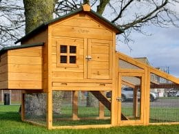 Raised chicken coop with run and nest box