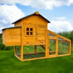Cocoon CC2190 chicken coop