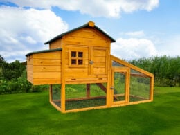 Cocoon CC2190 chicken coop