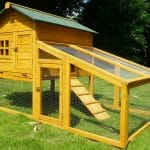 Raised chicken coop with run and nest box