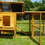 Cocoon ECO2500 Chicken Coop - NEW DESIGN!!