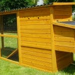 Cocoon ECO2500 Chicken Coop - NEW DESIGN!!