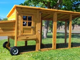 Cocoon 3000XWR Chicken Coop - Portable Version