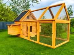 Cocoon Chicken Coop & Run - ECO 600
